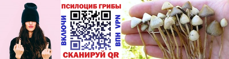 Псилоцибиновые грибы мухоморы  хочу наркоту  Беломорск 